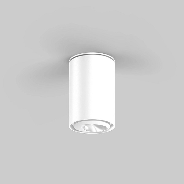 SASSO 60 ROUND WALLWASHER FLOOR/CEILING