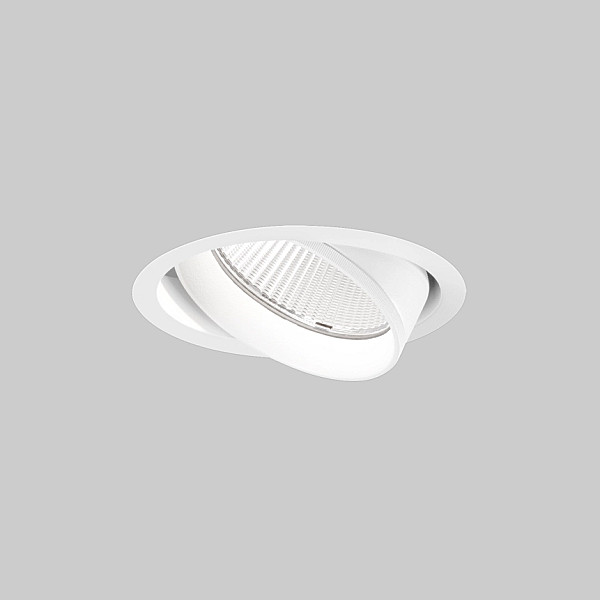 SASSO PRO 100 ADJUSTABLE FLUSH TRIMLESS