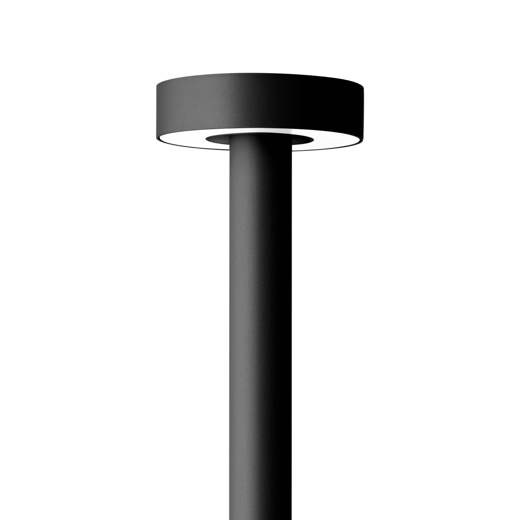 TOMORROW 250MM POLE TOP 60MM (76MM ON REQUEST)